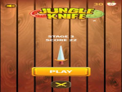 Jungle Knife Hit: Videospiele Grundstück