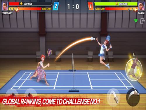Badminton Blitz - Free 3D Multiplayer Sports Game: Plot of the game