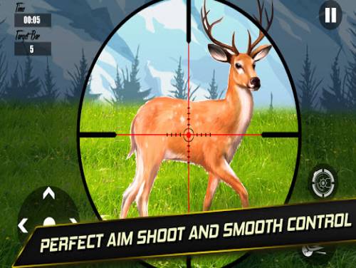 Deer Hunting Sniper Shooting Game Hero 2020 3D: Videospiele Grundstück