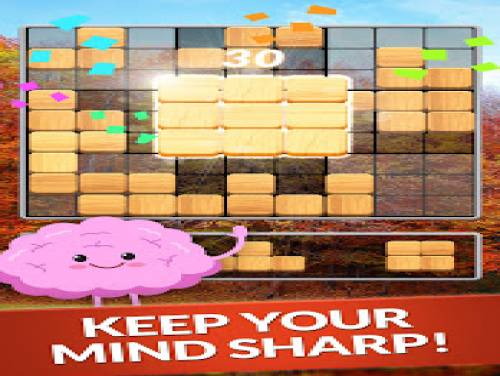 Blockscapes Sudoku: Trame du jeu