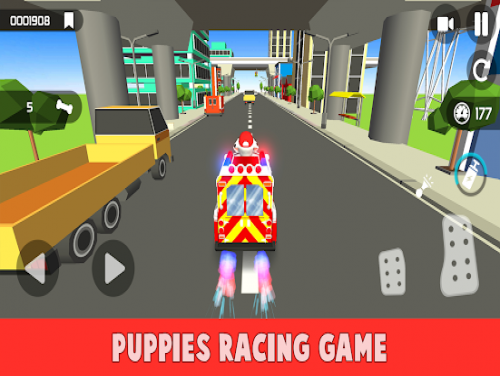 Traffic Paw Racing Adventure: Videospiele Grundstück