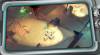 Tipps und Tricks von Space Marshals 3 für ANDROID / IPHONE Nützliche Tipps