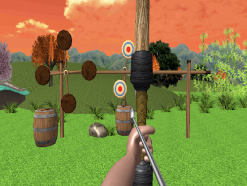 Shooting Archery - Master 3D: Videospiele Grundstück