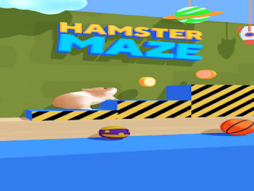 Hamster Maze: Videospiele Grundstück