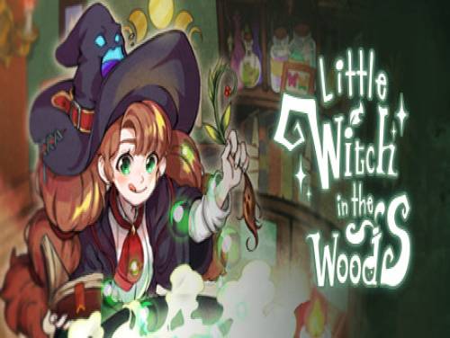 Little Witch in the Woods: Trame du jeu