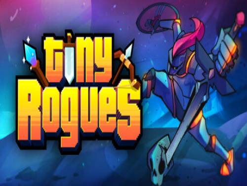 Tiny Rogues: Videospiele Grundstück