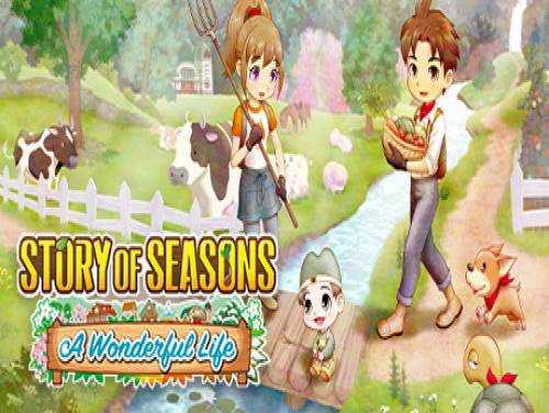 Story of Seasons: A Wonderful Life: Videospiele Grundstück