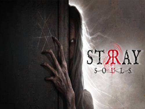 Stray Souls: Videospiele Grundstück