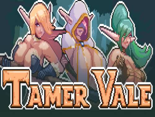 Tamer Vale: Plot of the game