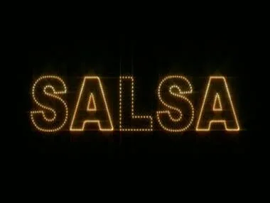Copertina Cosa vuol dire Salsa?