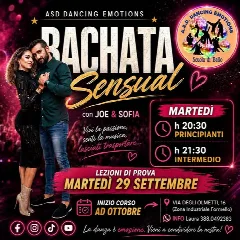 Locandine della scuola